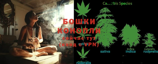MESCALINE Магас