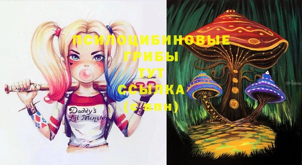 PSILOCYBIN Мегион