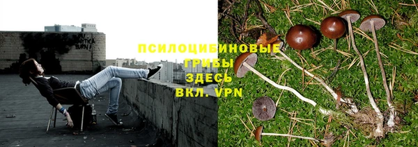 не бодяженный Майский