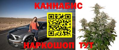 прущие грибы Гусь-Хрустальный