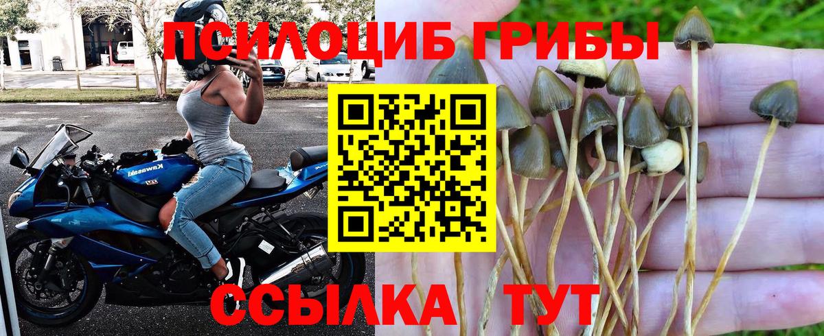 Псилоцибиновые грибы Magic Shrooms Карпинск
